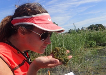 Port Clinton Ecological Restoration: Another Success for GLRI