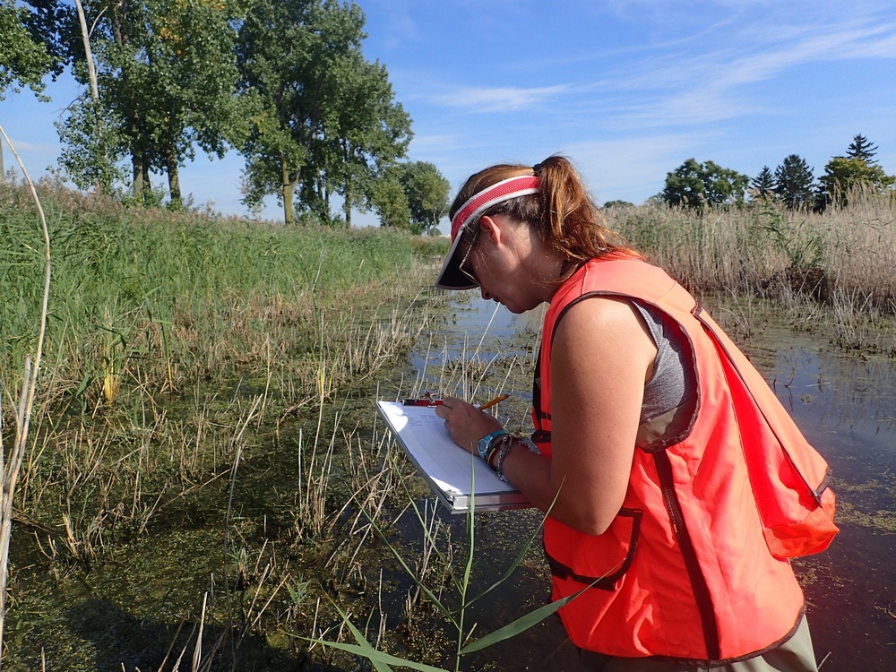 Port Clinton Ecological Restoration: Another Success for GLRI