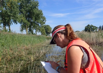 Port Clinton Ecological Restoration: Another Success for GLRI