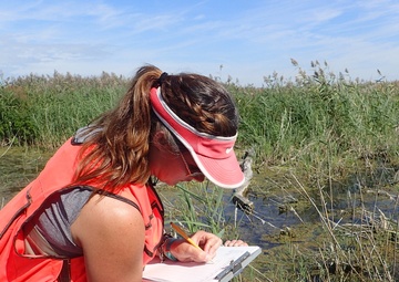 Port Clinton Ecological Restoration: Another Success for GLRI