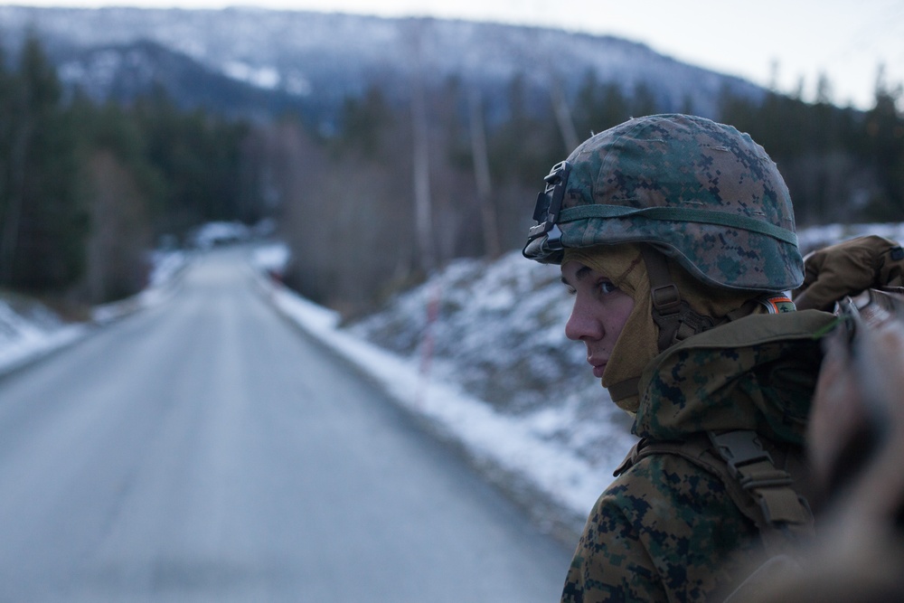 Marines Establish Position for Bridge Crossing in Norway