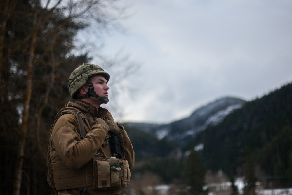 2nd Light Armored Reconnaissance and Norwegian Soldiers Cross Bridge Built by 8th Engineer Support Battalion