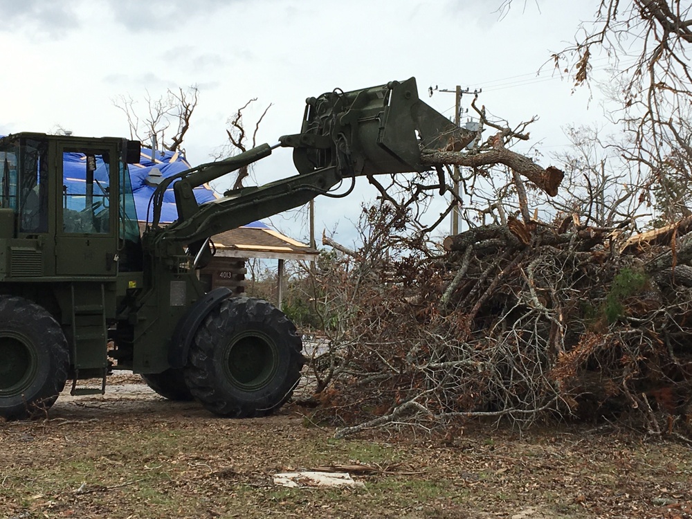 &quot;Steel Spike&quot; (46th EN BN) clearing away at Tyndall AFB