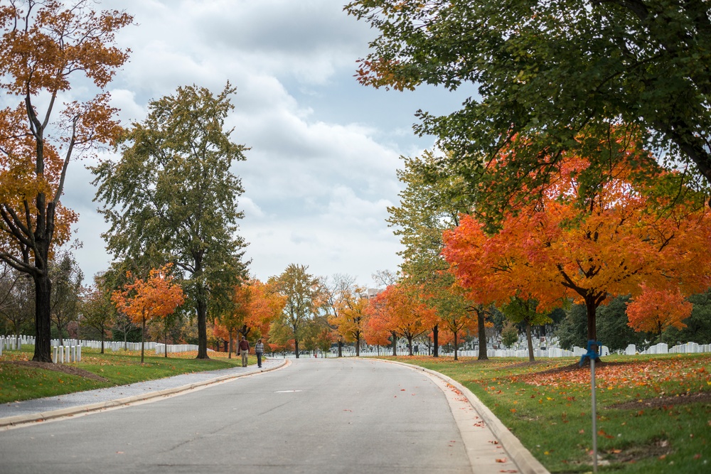 Fall Foliage 2018