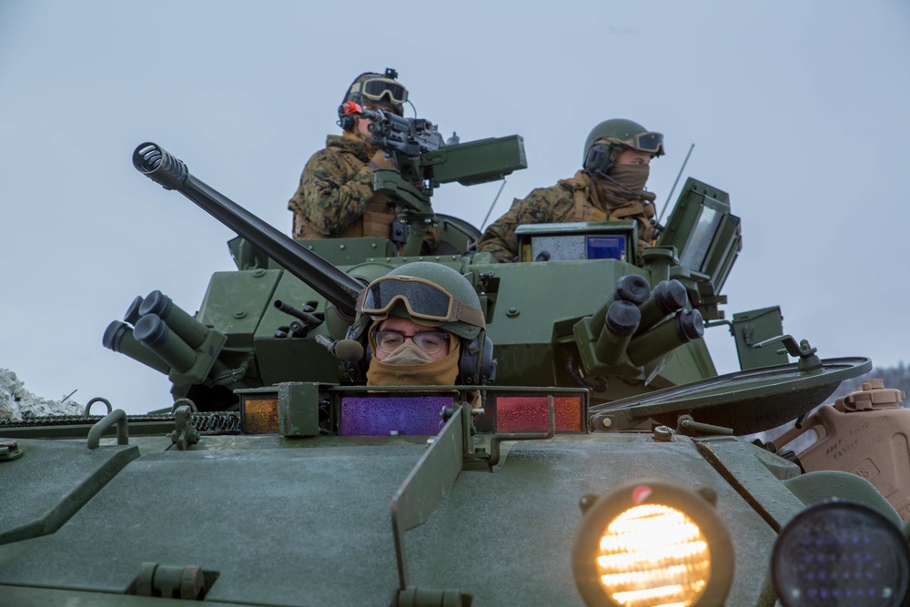 U.S. Marines with 2nd Light Armored Reconnaissance Battalion posts security