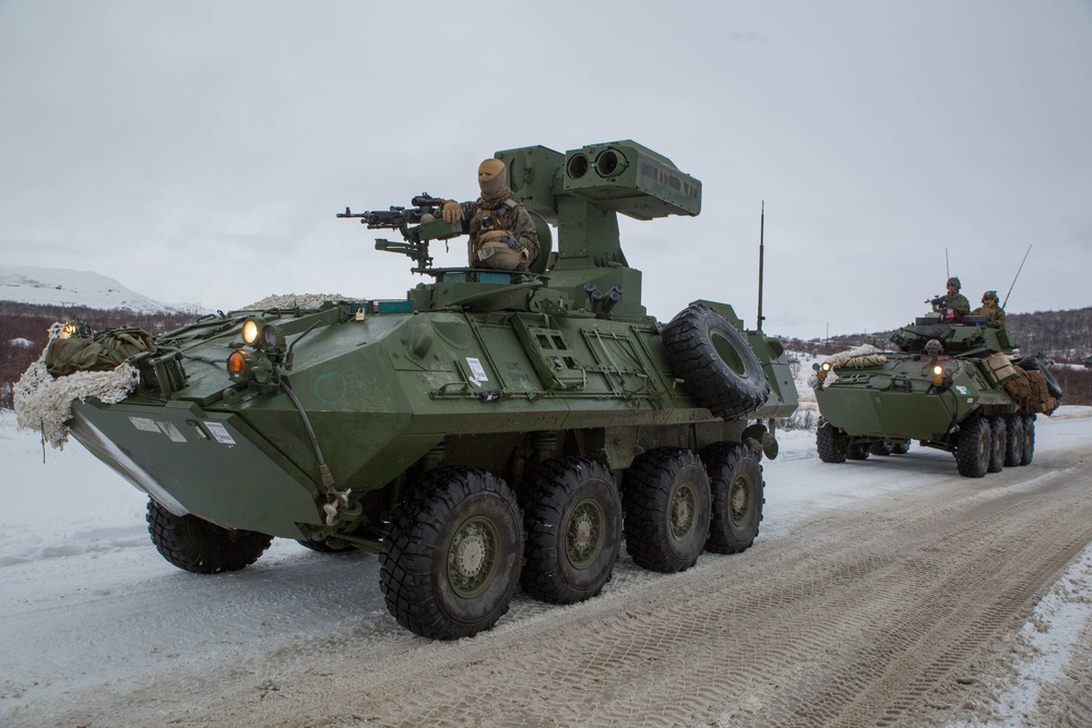 U.S. Marines with 2nd Light Armored Reconnaissance Battalion posts security