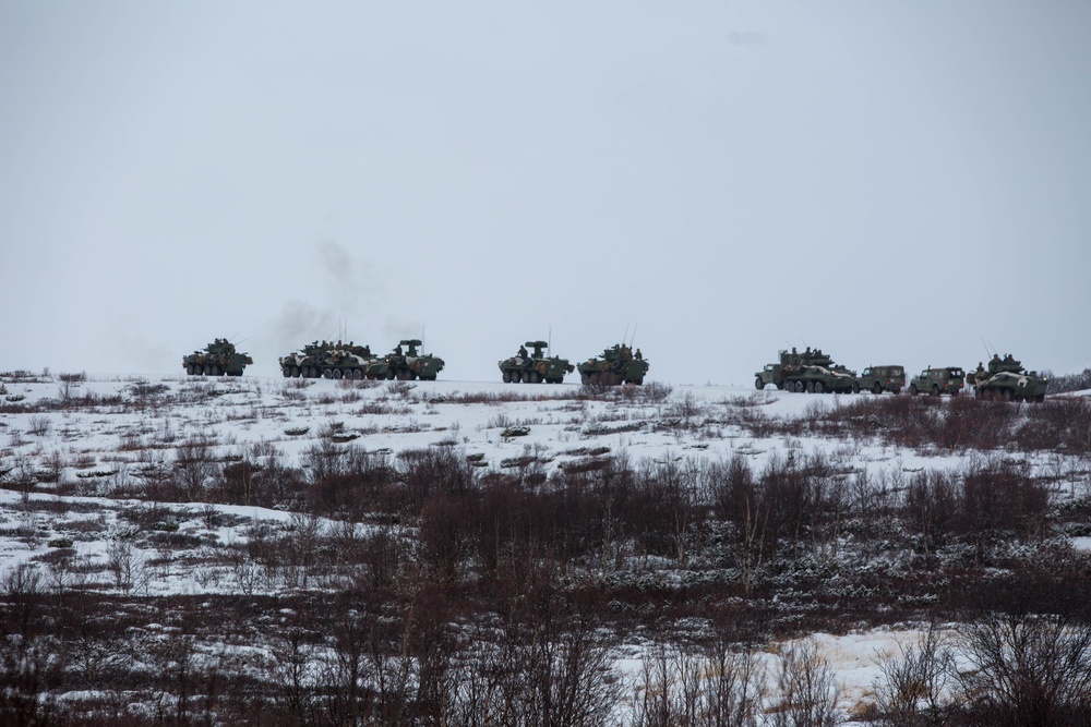 U.S. Marines with 2nd Light Armored Reconnaissance Battalion posts security