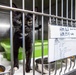 ASPCA Helps Bay County Animal Control With Displaced Animals After Hurricane Michael