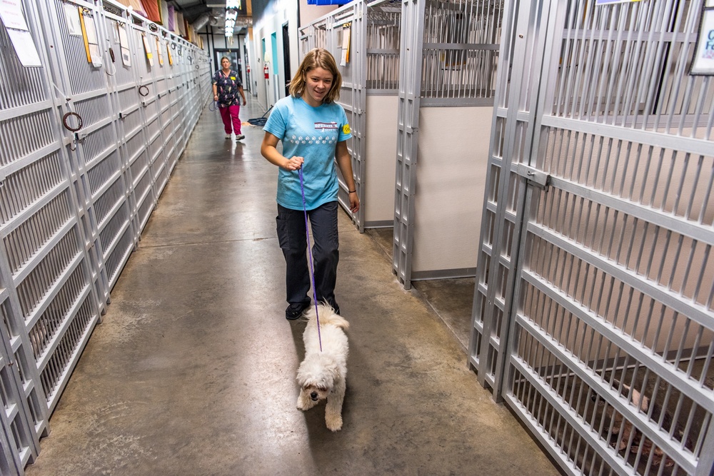 ASPCA Helps Bay County Animal Control With Displaced Animals After Hurricane Michael