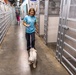 ASPCA Helps Bay County Animal Control With Displaced Animals After Hurricane Michael