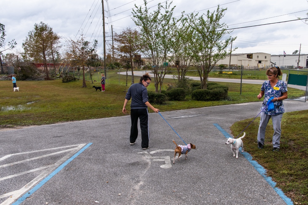 ASPCA Helps Bay County Animal Control With Displaced Animals After Hurricane Michael