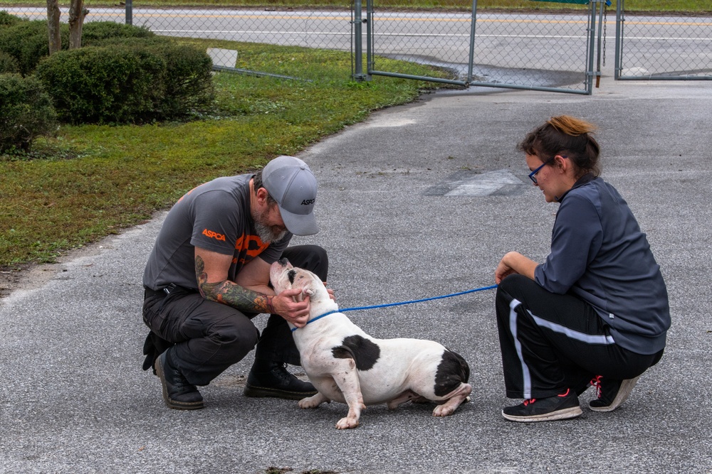 ASPCA Helps Bay County Animal Control With Displaced Animals After Hurricane Michael