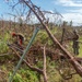 NMCB 1 removes debris from Tinian elementary school, ballpark