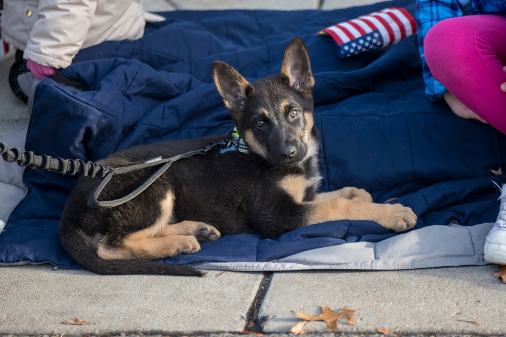 Boise Veterans Parade