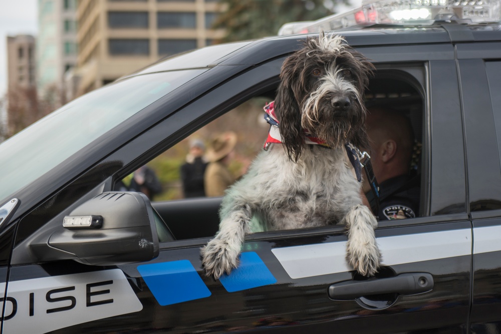 Idaho Veterans Day Parade