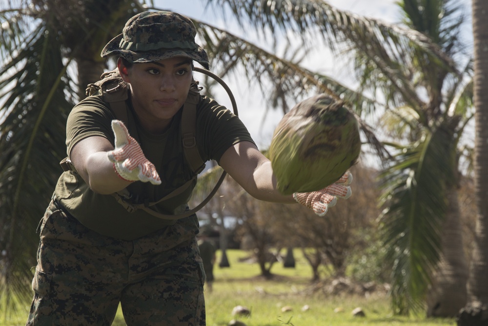 31st MEU, CLB-31 Marines continue progress during Yutu relief efforts after arrival of the Ashland