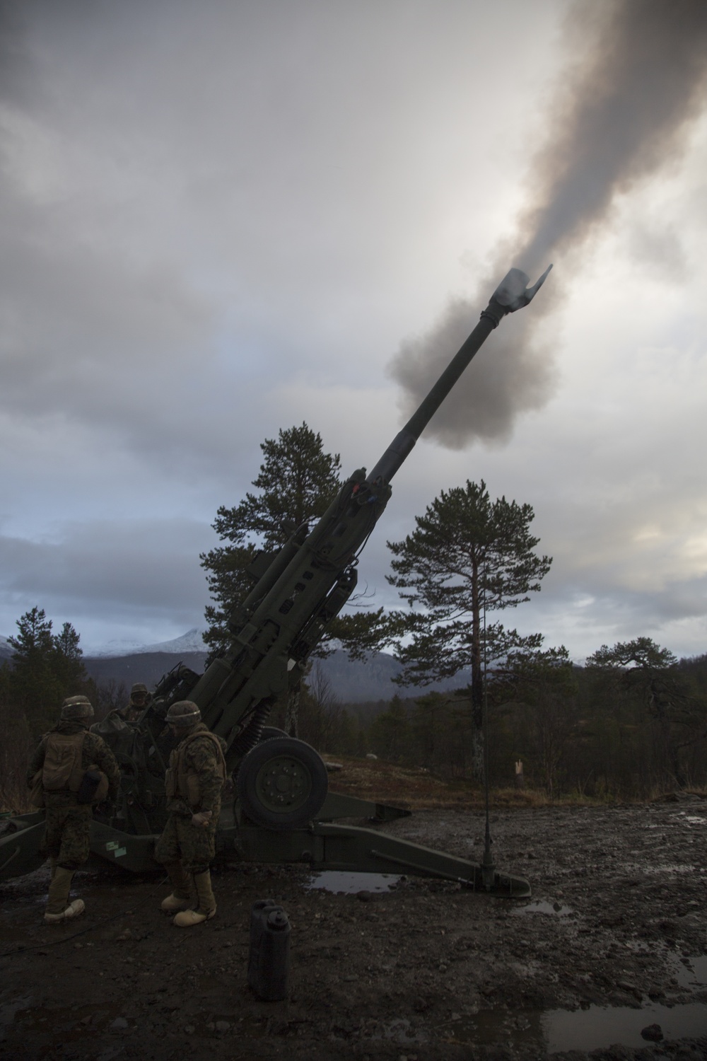 Northern Screen: Artillery Fire