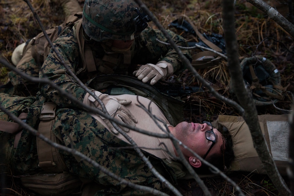 Northern Screen: Platoon Attack