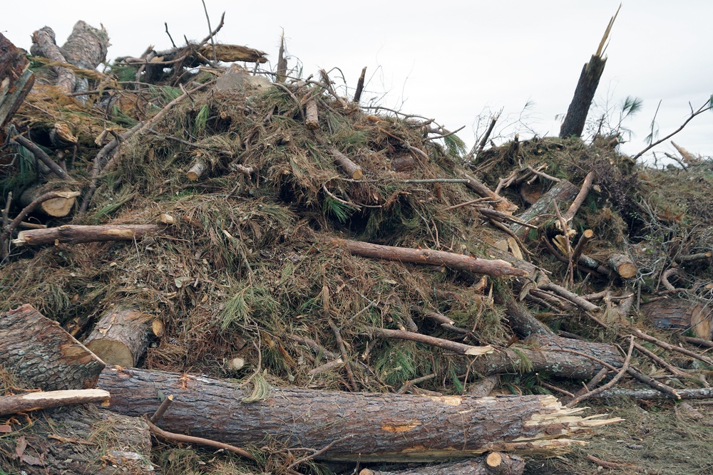 Corps begin debris removal mission in Georgia