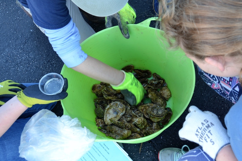 USACE Norfolk saves oysters, serves up STEM lesson