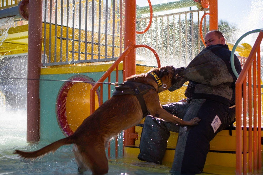 MacDill’s military working dogs, handlers train at Adventure Island