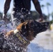 MacDill’s military working dogs, handlers train at Adventure Island