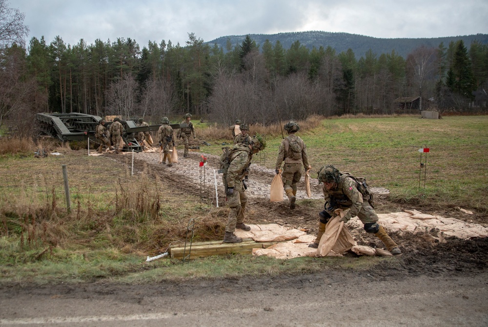 Trident Juncture 18 - Nations in Norway
