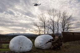 24 MEU, 45 Commando support TRAP