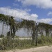 Soldier installs concertina wire