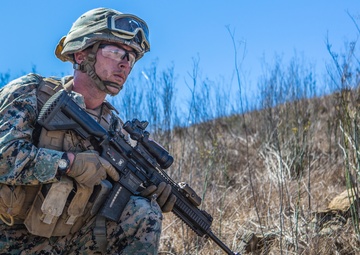 3/5 Lima Company Air Raids