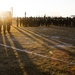 US Marines conduct squadron physical training