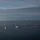 181107-AH771-2288