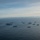 181107-AH771-2446