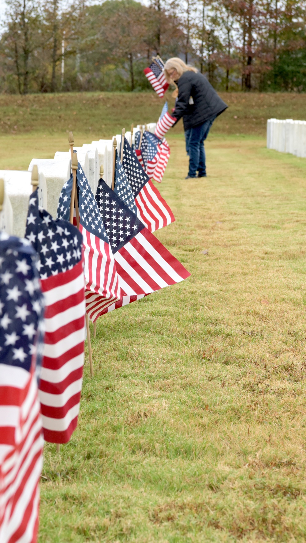 U.S. flag planting for Veterans Day