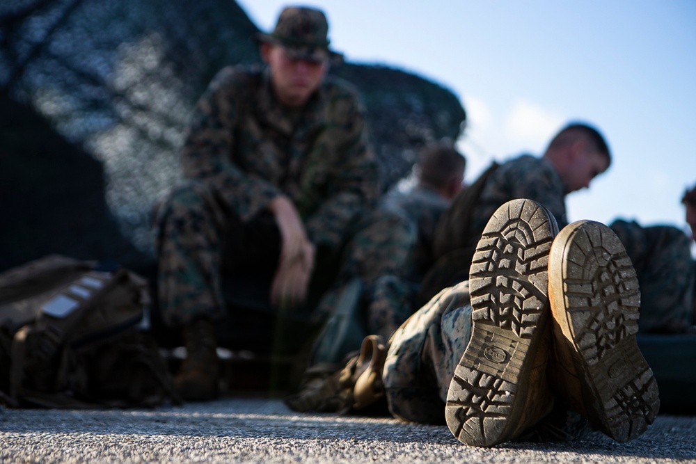 DVIDS - Images - 31st MEU, CLB-31 provide muscle for FEMA tent ...