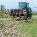 NMCB 1 Continues Debris Clearing in Tinian