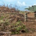 NMCB 1 Continues Clearing Deris in Tinian