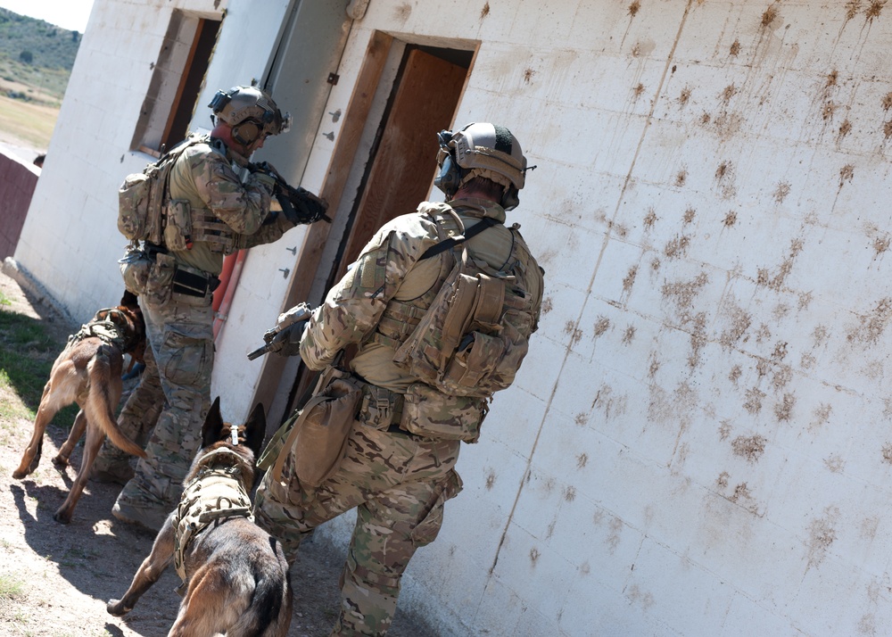 K9 Urban operations