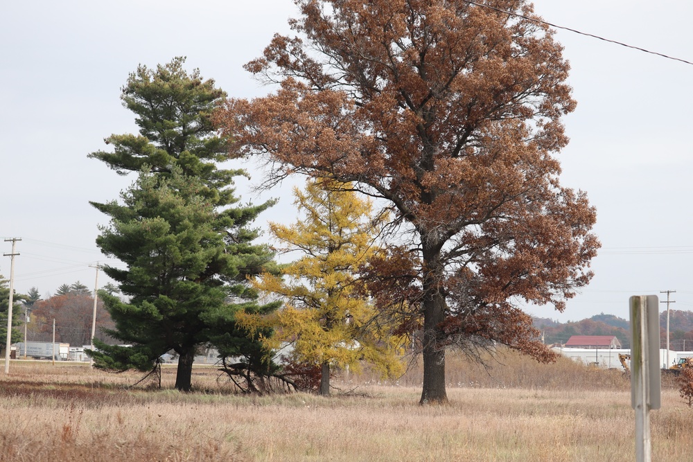 2018 Fort McCoy Fall Colors