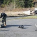 NAS Whidbey Island Conducts Reliant Defense Exercise