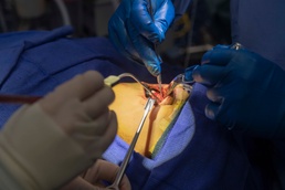 An 8-Year-Old’s Return to Comfort