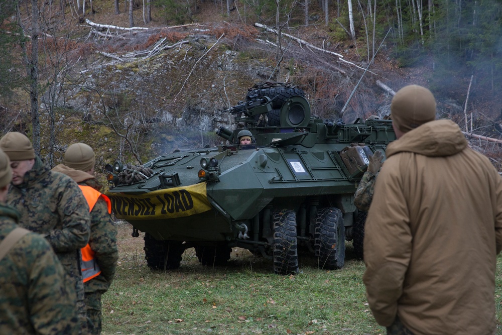 2/2 Easy Company Participates in Trident Juncture 18