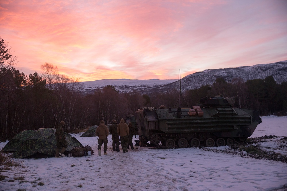 2/2 Easy Company Participates in Trident Juncture 18