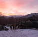 2/2 Easy Company Participates in Trident Juncture 18