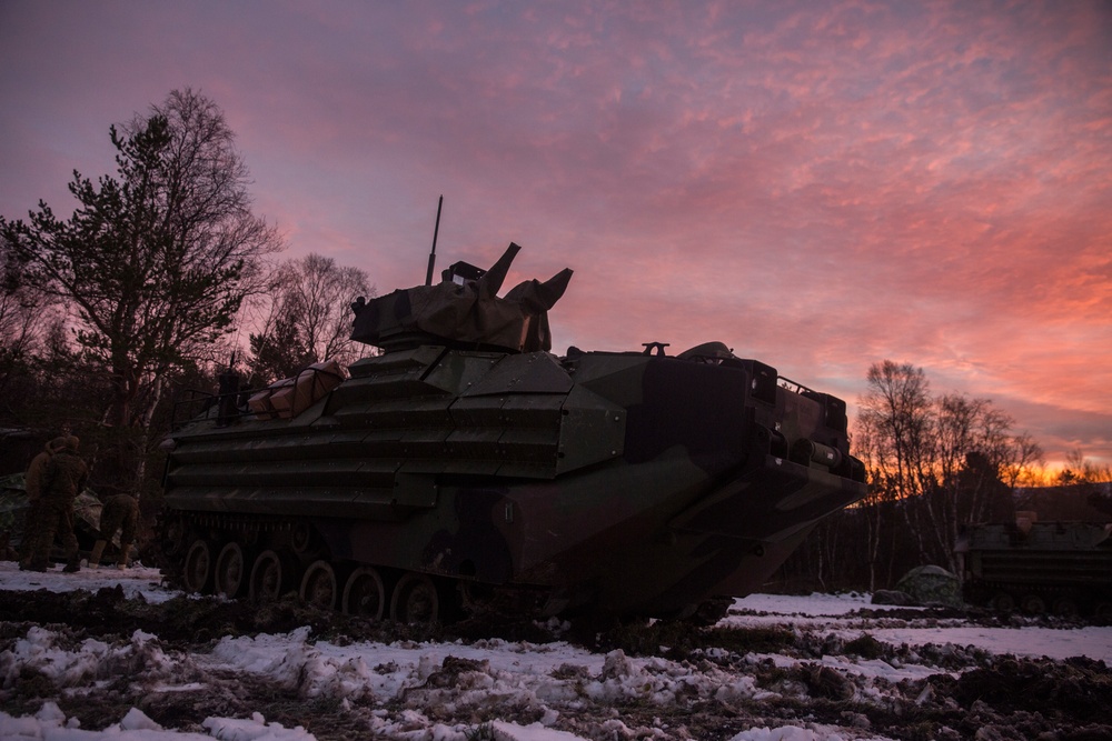 2/2 Easy Company Participates in Trident Juncture 18