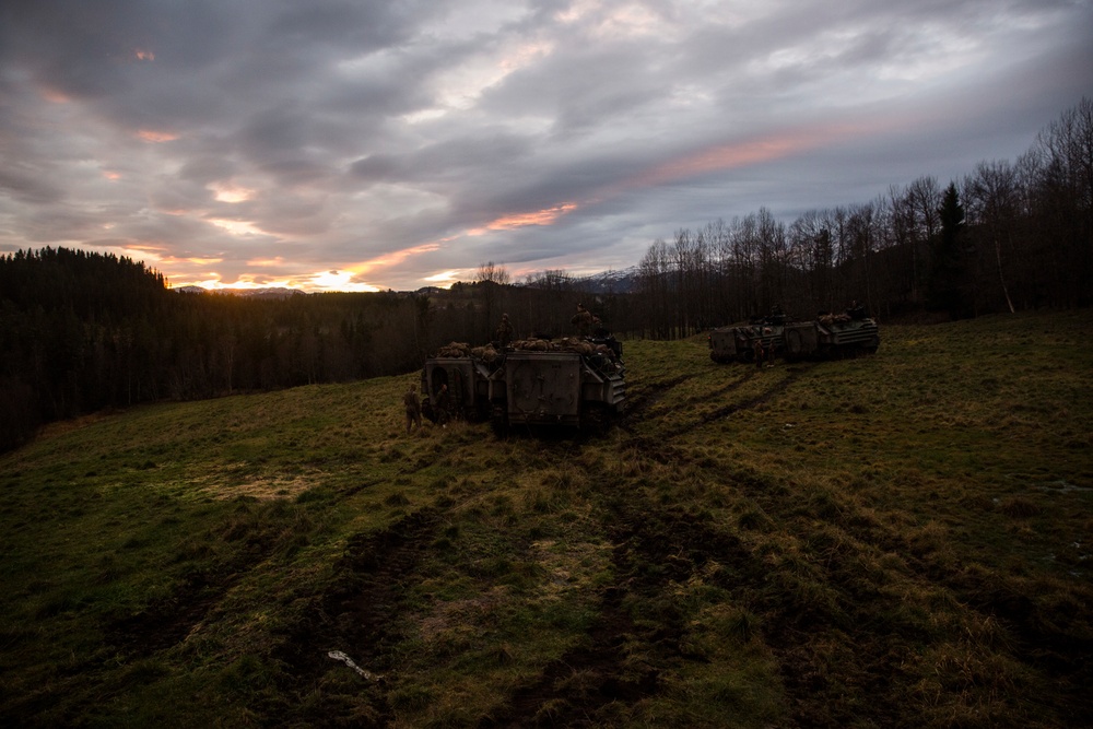 2/2 Easy Company Participates in Trident Juncture 18