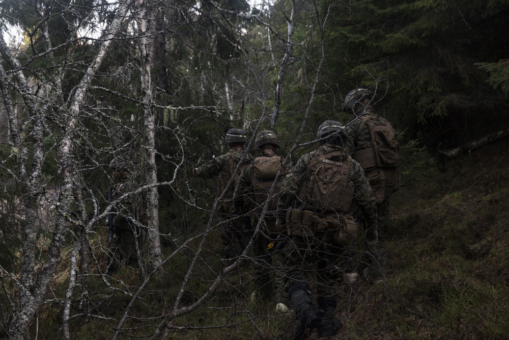 2/2 Easy Company Participates in Trident Juncture 18