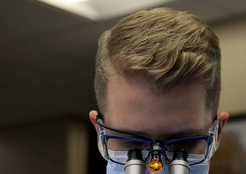 Dental Flight ‘Puts the bite in the fight’