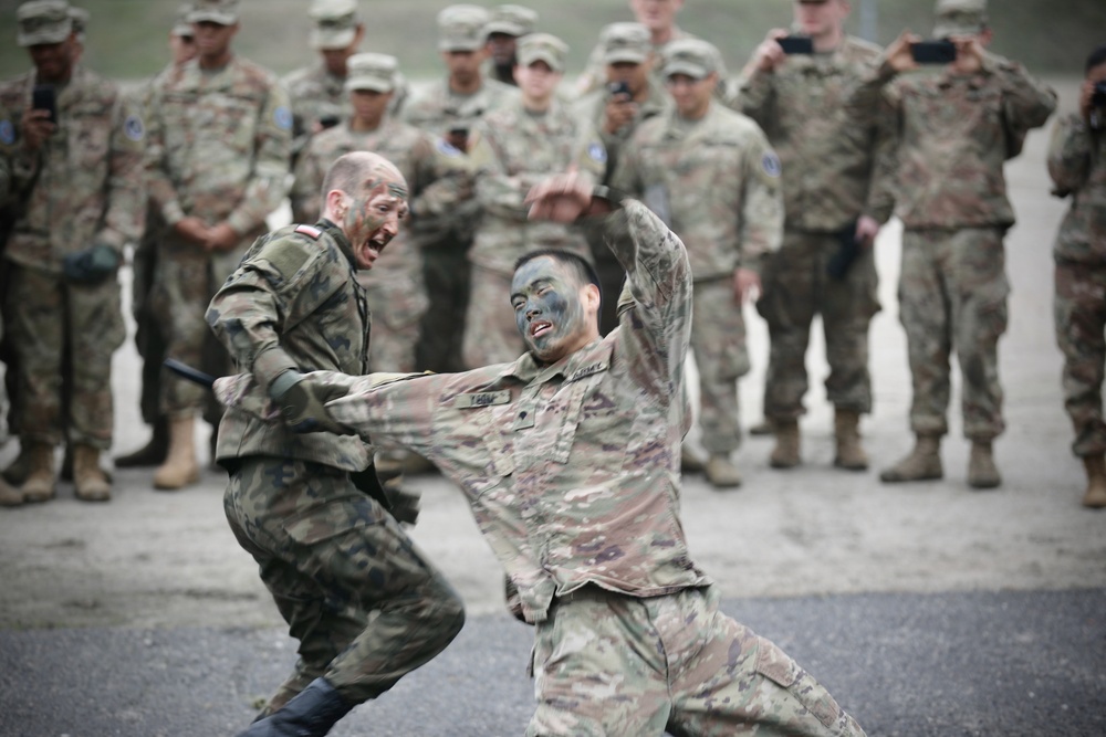 91st BEB Combine with the Polish for Combatives Presentation