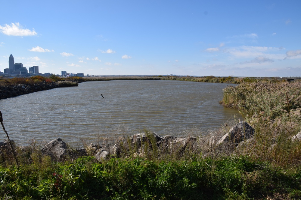 The Cleveland Harbor Dike 10B Confined Disposal Facility